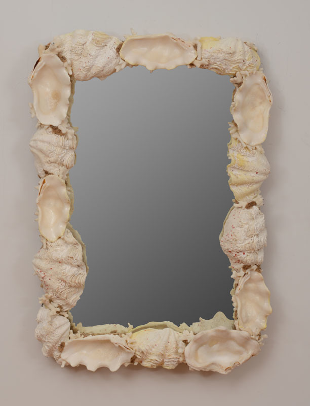Contemporary Shell-Mounted Mirror