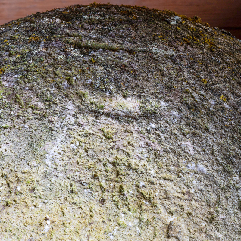 Catalog - STAIR Galleries