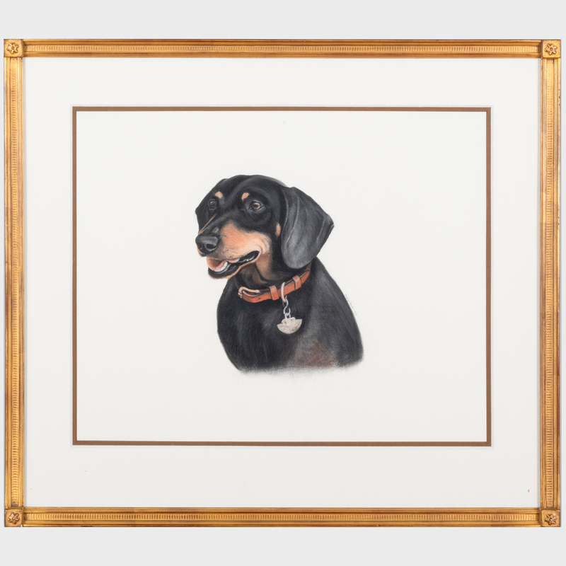 Jocelyn Sandor: Portrait of a Dog