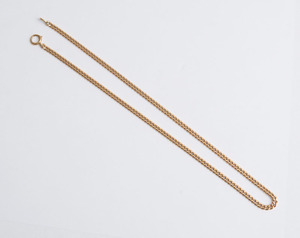 14K Gold Curb Link Necklace
