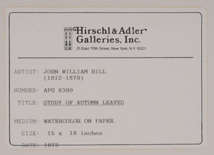 JOHN WILLIAM HILL (1812-1879): STUDY OF AUTUMN LEAVES