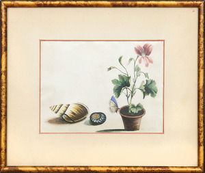 20th Century School: Still Life with Flower, Butterfly and Shells