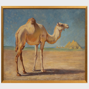 20th Century School: Camel