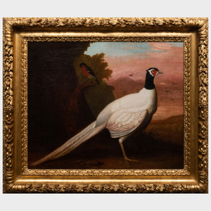 After Jakob Bogdani (1660-1724): White Pheasant in a Landscape