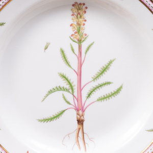 Set of Four Royal Copenhagen Porcelain 'Flora Danica' Dinner Plates