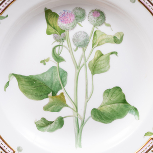 Set of Four Royal Copenhagen Porcelain 'Flora Danica' Dinner Plates