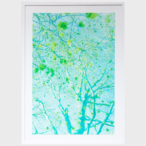 Nathaniel Kramer: Trees (Blue); Trees (Green); and Trees (Purple)