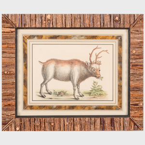 English School: The Greenland Buck