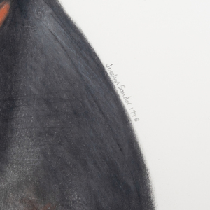 Jocelyn Sandor: Portrait of a Dog