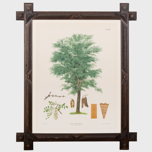 Carl Gerhold & Son, Publisher: Trees: Three Plates