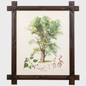 Carl Gerhold & Son, Publisher: Trees: Three Plates