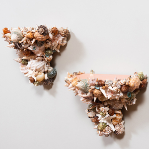 Pair of Shell Encrusted Wall Brackets