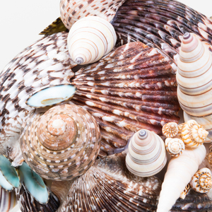 Two Similar Shell Encrusted Marble Composite Busts 